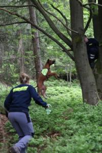 2018 Ausbildungswoche Arber